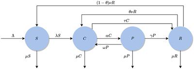 Curtailing crime dynamics: A mathematical approach